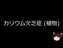 【ゆっくり朗読】ゆっくりさんと不思議な病気 その738