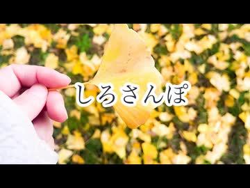 しろさんぽ[秋編]