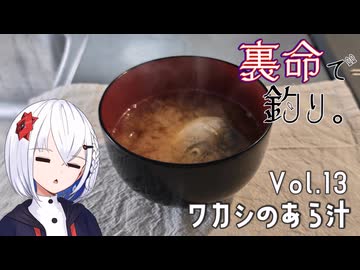 裏命で釣り。Vol.13「ワカシのあら汁」