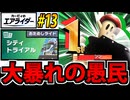 【実況】カービィのエアライダーおためし版でたわむれる Part13