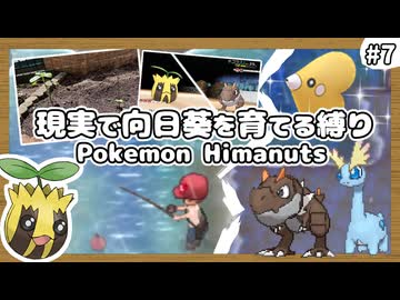 【ポケモンXY】ヒマナッツがひんしになったら『現実で向日葵を育てる縛り』（Part⑦）