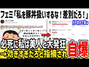 【悲報】お前豚丼だろと言われたフェミさん、必死に私は痩せてると発狂してしまう...