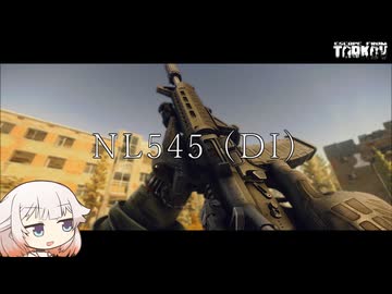 Custom Guns NL545 (DI) 挑戦者の登場だ!! AKマガジンな新武器【タルコフ】ONE実況