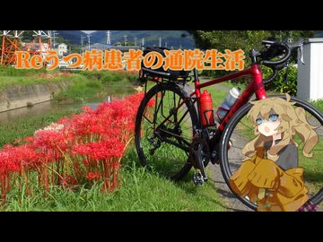 Reうつ病患者の通院生活54日目