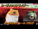 カービィのエアライダー　ロードトリップ　レース：フラリア　ステージ２　大輪の花畑　＃５５　【任天堂switch2】