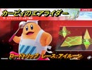 カービィのエアライダー　ロードトリップ　レース：アイルーン　ステージ２　大輪の花畑　＃５８　【任天堂switch2】
