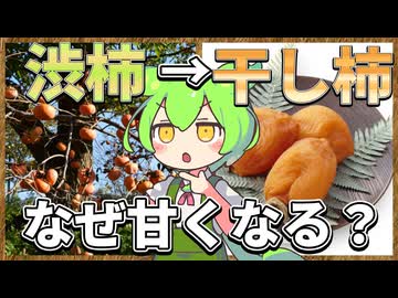 ずんだもんのたべもののヒミツ　-カキのヒミツ-