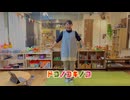 【踊ってみた】ドコノコキノコ【林檎酢】
