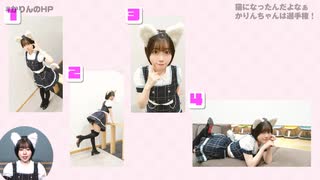 【特典動画】猫になったんだよなぁかりんちゃんは選手権！【かりんのHP】