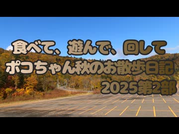 【後編】2025秋のお散歩日記