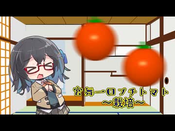 宮舞一口プチトマト 8粒目