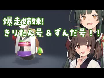 【カービィのエアライダー】爆走姉妹！きりたん号VSずんだ号！！