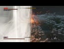 sc^イカれた生放送(SEKIRO)　３０－１３