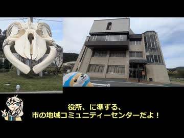 【徒歩旅行祭2025_15㎞】千葉県南房総市和田地区散策【＋こっそり烏場山200％RTA】