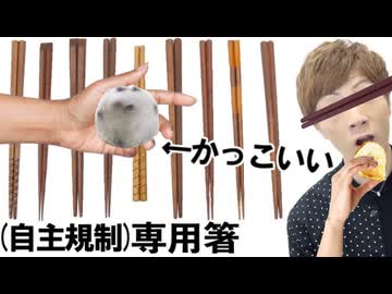 (自主規制)専用箸の実力どうなのよ？？？←結果：手の方がかっこいい