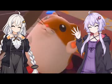 【カービィのエアライダー】ゆづきずエアライダー #7