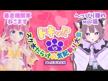 【企画】ドキッ！？スク水だらけの気配斬り大会！～猫の王者決定戦～