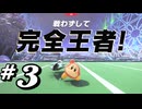 【カービィのエアライダー】初めてのエアライダー！＃3【実況プレイ】