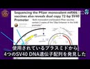 衝撃の発見！ファイザー小児用ワクチン、SV40濃度が成人の2倍でがんリスク増