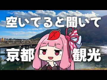 今の京都は空いてると聞いて、京都の紅葉名所をふらっと観光