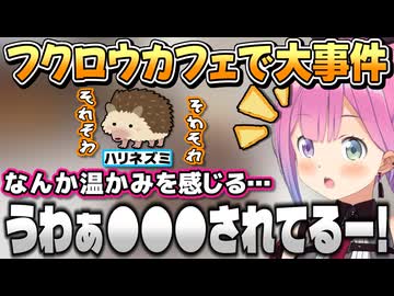 フクロウカフェに行って大事件が起きるも面白い思い出になったルーナ姫【姫森ルーナ/ホロライブ切り抜き】
