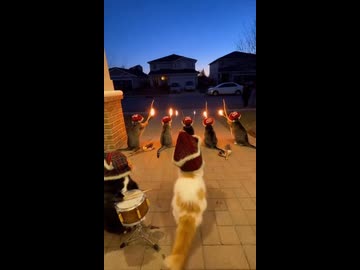 ホモと見る近所の家に火矢を放って怒られるネコたち