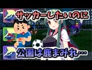 【ポケモンZA】サッカーしたいのいに、公園が鹿まみれ…【Pokémon LEGENDS Z-A】