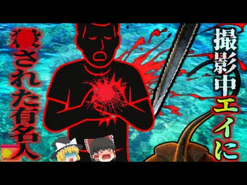 『撮影中エイに刺され死亡』熱心な動物愛好家がエイに近づき過ぎた結果、毒針で心臓を貫かれ死亡…『グレートバリアリーフエイ刺傷事件』【ゆっくり解説】