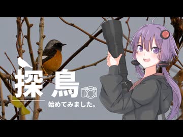 探鳥始めてみました。冬鳥が来ましたね！