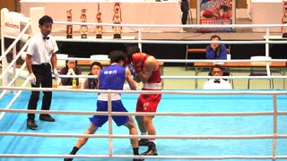 マイク・タイソン vs. イベンダー・ホリフィールド 96年11月9日 WBA