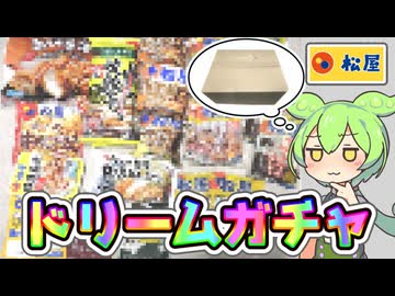 楽天市場で買った「松屋のドリームガチャ（税込み5999円）」