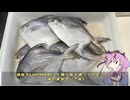 珍食材が食べたい！#227 マナガツオみたいな輸入魚