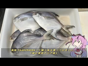 珍食材が食べたい！#227 マナガツオみたいな輸入魚