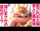 恩人に再会したボス猫、驚きの変化が発生