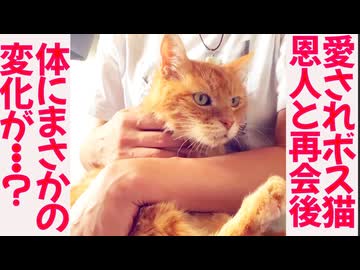 恩人に再会したボス猫、驚きの変化が発生