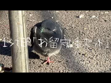 1stEP「お留守番セット」曲がどんどんフェードアウトしてフェードインしてくる動画