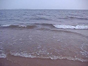 【歌ってみた】君の脈で踊りたかった