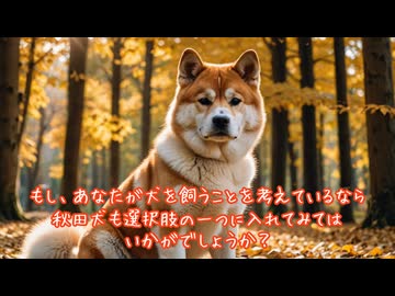 LOVE！秋田犬