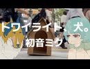 トワイライト、犬。 / 初音ミクprodby角乃丸味【無色透名祭3参加楽曲mv】