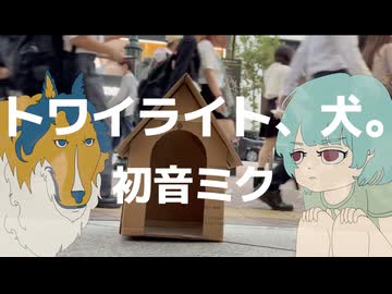 トワイライト、犬。 / 初音ミクprodby角乃丸味【無色透名祭3参加楽曲mv】