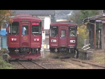 【のら】とりてつ❕ 2025年秋 越美南線
