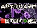 20251125_【一体何が起こったのだ！】⇦《中国で謎の高○急増！子ども急変・ﾀﾋ亡が相次ぎ騒然》
