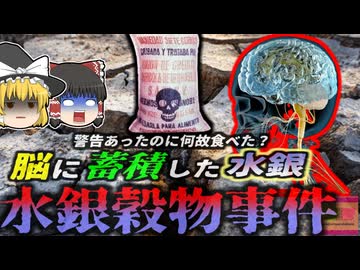 『大量の水銀入り食料を食べ死亡』干ばつによる食糧不足で輸入した穀物を配布　食べた農民たちが次々に死亡した『1971年メチル水銀中毒事件』【ゆっくり解説】