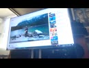 Linkin park Newdivid ハモってみた