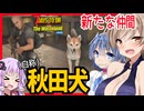 【7daystodie The WastelandMOD】ついに仲間ができました！！秋田犬です！！#10【ボイスロイド実況】
