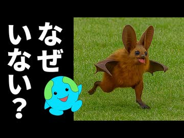 飛べない鳥がいて飛べないコウモリがいない理由【生物解説】