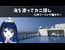海を渡ってカニ探し