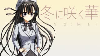 45668162.46639659.M