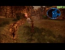 FF13-2-316