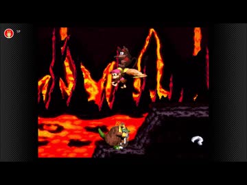 スーパードンキーコング２　３０周年記念プレイ動画　ロスト４